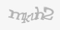 Защитный код